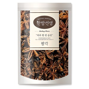 한방선생 팔각, 100g, 1개