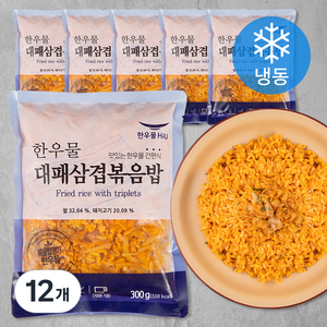 한우물 대패삼겹 볶음밥 (냉동), 300g, 12개