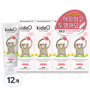 2080 키즈오 알파치약 라스베리향, 80g, 12개