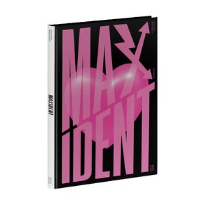 스트레이 키즈 - MAXIDENT [T-CRUSH ver. / HEART ver.] 일반반 버전랜덤 발송 포스터 없음1CD, 1CD