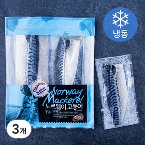 노르웨이산 고등어살 (냉동), 1kg, 3개