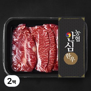 농협안심한우 부채살 1등급 구이용 (냉장), 200g, 2팩