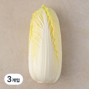 국내산 친환경 알배기배추, 1개입, 3개