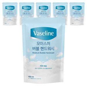 애경바세린 모이스처 버블 핸드워시 리필, 450ml, 6개