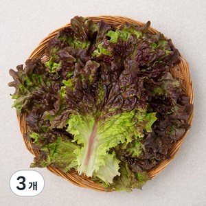 국내산 적상추, 150g, 3개