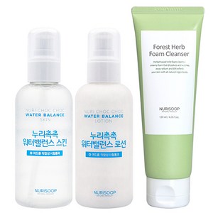 누리숲 누리촉촉 스킨 160ml + 로션 160ml + 녹삼초 폼클렌저 120ml, 1세트