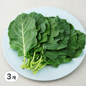 친환경 쌈케일, 100g, 3개