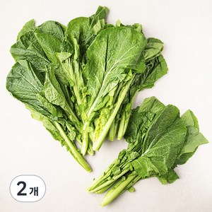 청갓, 1kg, 2개