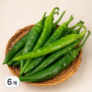 국내산 오이맛 고추, 400g, 6개