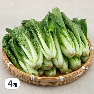 국내산 얼갈이, 1kg, 4개