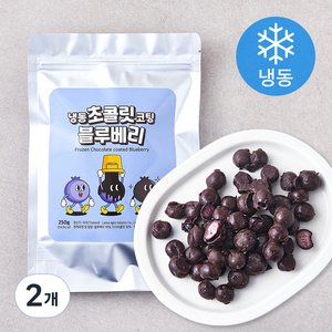 초콜릿 코팅 블루베리 (냉동), 250g, 2개