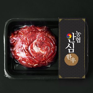 농협안심한우 정육 2등급 불고기용 (냉장), 300g, 1팩