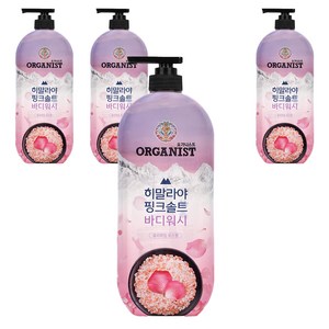 히말라야핑크솔트 풍성한 거품 산뜻한 바디워시 로즈향, 865ml, 4개