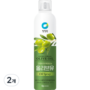 대상 청정원 올리브유 스프레이, 2개, 250ml