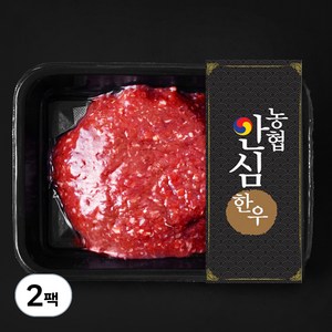 농협안심한우 1등급 다짐육 (냉장), 300g, 2팩