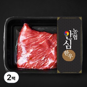 농협안심한우 양지 덩어리 2등급 국거리 수육 장조림용 (냉장), 300g, 2팩