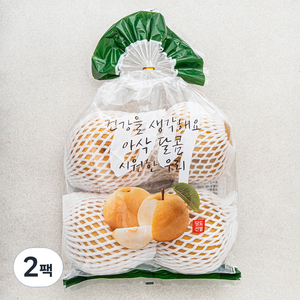 원농산 당도선별 배 3~4입, 2팩, 2kg