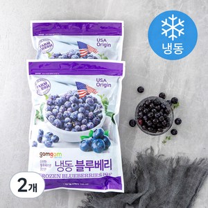 곰곰 냉동 블루베리, 1kg, 2개