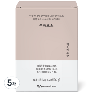 푸름웰니스 푸름효소 미숫가루맛 30p, 90g, 5개