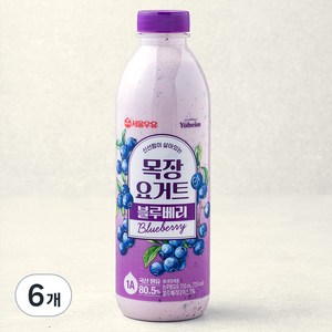서울우유 신선함이 살아있는 목장 요거트 블루베리, 750ml, 1개입, 6개