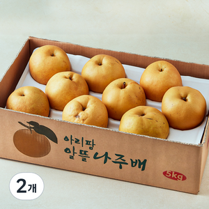 아리팜 나주 알뜰배 5~10입, 2개, 5kg