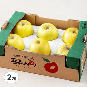 프레샤인 GAP 인증 시나노골드 사과, 2kg(대과, 5~6입), 2개