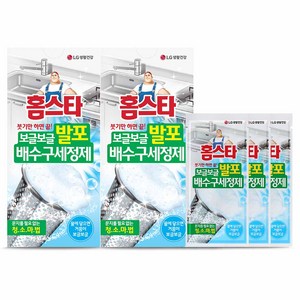 홈스타 보글보글 발포 배수구 세정제, 120g, 2개