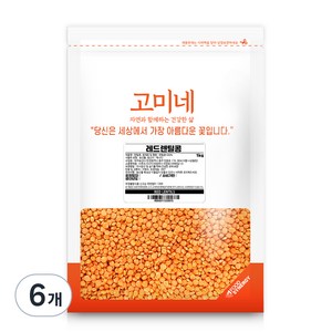 고미네 레드 렌틸콩, 1kg, 6개