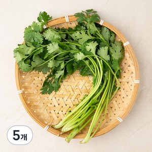 국내산 유기농 고수, 30g, 5개