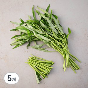 국내산 공심채, 150g, 5개