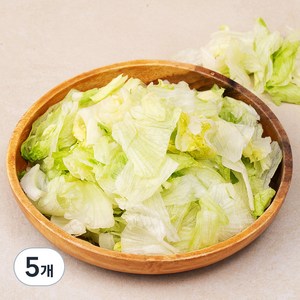 국내산 절단 양상추, 500g, 5팩