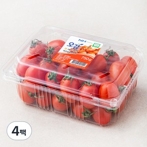 세도농협 GAP 인증 대추 방울 토마토, 750g, 4박스