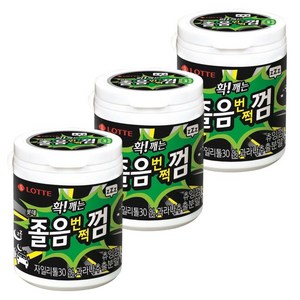 롯데웰푸드 졸음깨는 껌, 87g, 3개