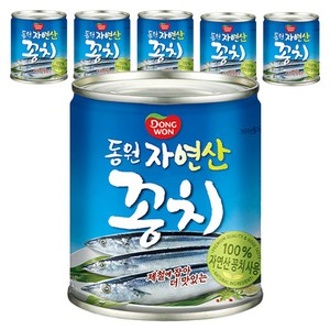 동원 자연산 꽁치 통조림, 230g, 6개