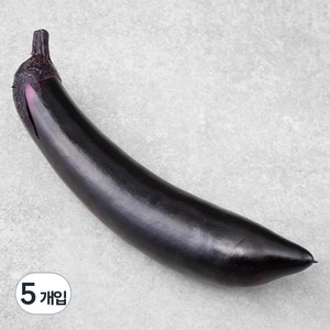 국내산 가지, 5개