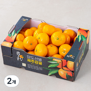 귤탐 당도선별 11brix 감귤, 2kg(로열과), 2개