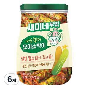 새미네부엌 오이소박이 양념, 120g, 6개