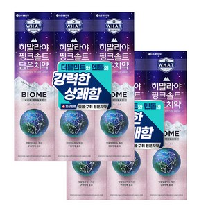 히말라야핑크솔트 담은 바이옴 구취억제 치약, 100g, 6개