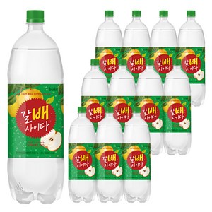 갈배사이다, 1.5L, 12개