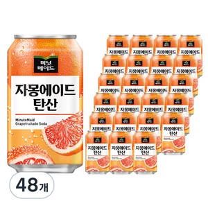 미닛메이드 자몽에이드 탄산, 355ml, 48개