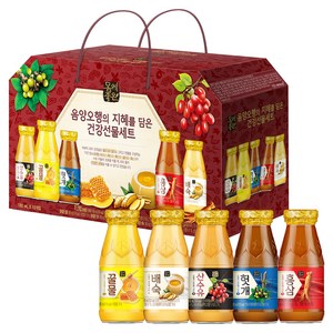 해태htb 몸에좋은 음양오행 건강음료 선물세트, 180ml, 10개