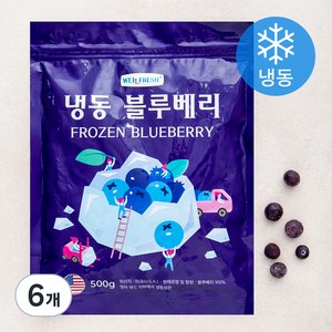 웰프레쉬 미국산 블루베리 (냉동), 500g, 6개