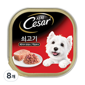 시저 애견간식 캔, 쇠고기, 100g, 8개