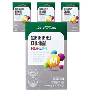 이너랩 멀티비타민 미네랄 이지퍼펙트, 60정, 4개
