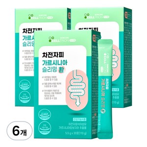 이너랩 차전자피 슬리밍 환 가르시니아, 110g, 6개