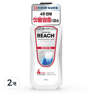 리치 프로페셔널 잇몸 전문 제로 구강청결제, 2개, 760ml