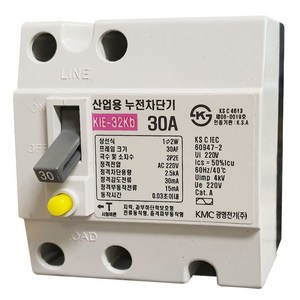 광명전기 누전차단기 메인 30A, 1개