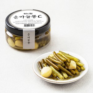 하나원 순마늘쫑 C, 180g, 1개