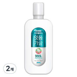 2080 진지발리스 잇몸 가글 마일드 민트향, 2개, 800ml