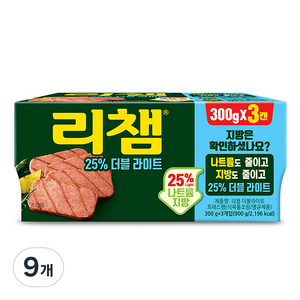 리챔 더블라이트 3p, 300g, 9개